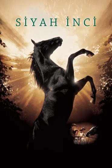 Black Beauty